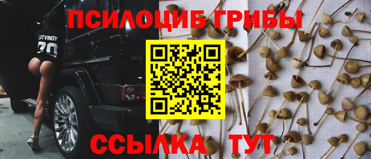 Семилуки  Псилоцибиновые грибы Cubensis  Вход с VPN 